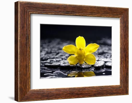Still Life with Pebbles and Yellow Orchid-crystalfoto-Framed Photographic Print