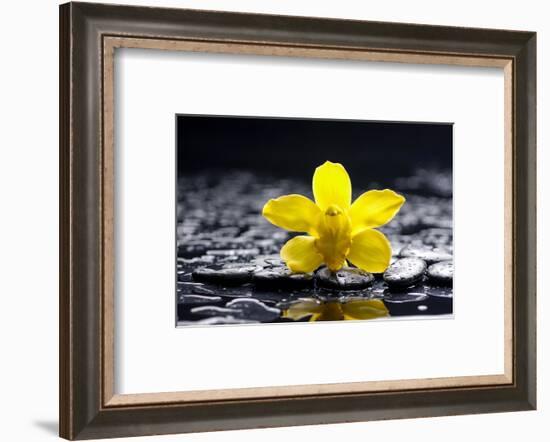 Still Life with Pebbles and Yellow Orchid-crystalfoto-Framed Photographic Print