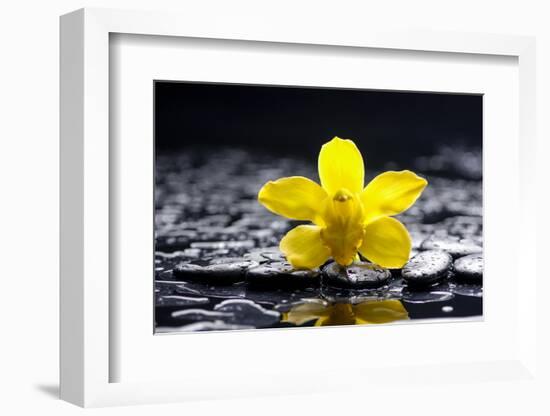 Still Life with Pebbles and Yellow Orchid-crystalfoto-Framed Photographic Print