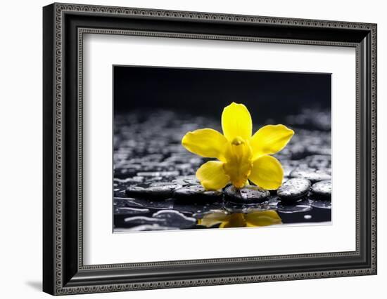 Still Life with Pebbles and Yellow Orchid-crystalfoto-Framed Photographic Print