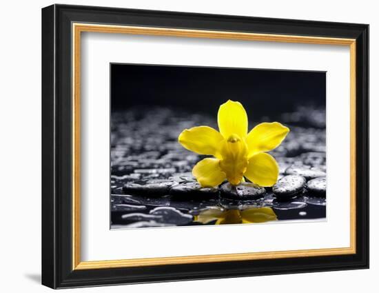 Still Life with Pebbles and Yellow Orchid-crystalfoto-Framed Photographic Print