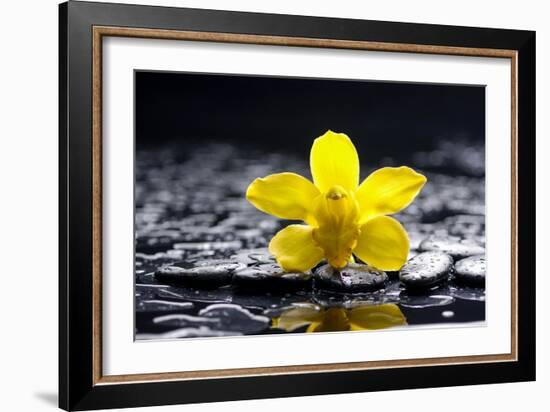 Still Life with Pebbles and Yellow Orchid-crystalfoto-Framed Photographic Print