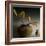 Still Life with Persimmon-Geoffrey Ansel Agrons-Framed Photographic Print