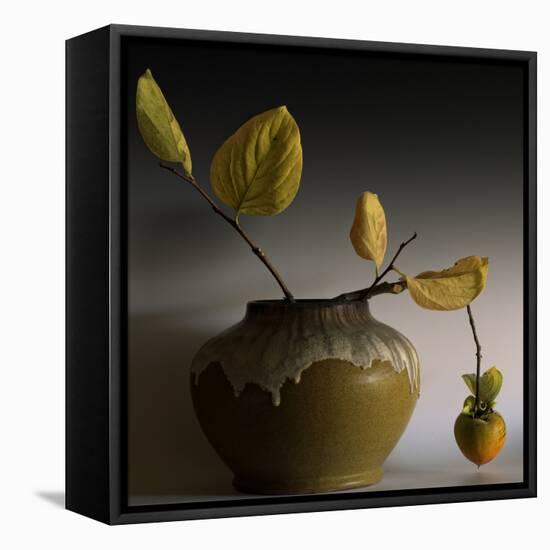 Still Life with Persimmon-Geoffrey Ansel Agrons-Framed Stretched Canvas