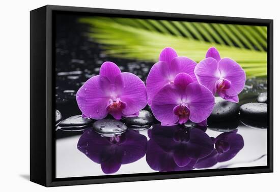 Still Life with Plam ,Pebbles and Red Orchid-crystalfoto-Framed Premier Image Canvas