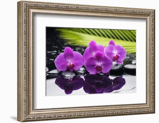 Still Life with Plam ,Pebbles and Red Orchid-crystalfoto-Framed Photographic Print