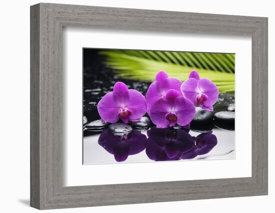 Still Life with Plam ,Pebbles and Red Orchid-crystalfoto-Framed Photographic Print