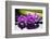 Still Life with Plam ,Pebbles and Red Orchid-crystalfoto-Framed Photographic Print