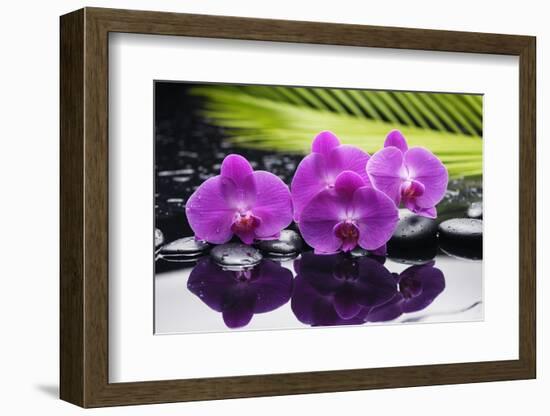 Still Life with Plam ,Pebbles and Red Orchid-crystalfoto-Framed Photographic Print