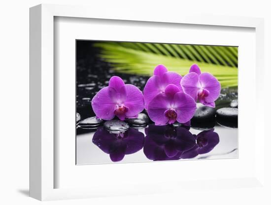 Still Life with Plam ,Pebbles and Red Orchid-crystalfoto-Framed Photographic Print