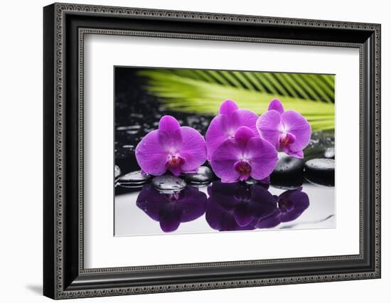 Still Life with Plam ,Pebbles and Red Orchid-crystalfoto-Framed Photographic Print