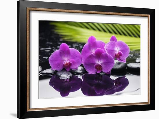 Still Life with Plam ,Pebbles and Red Orchid-crystalfoto-Framed Photographic Print