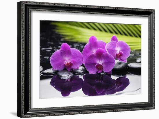 Still Life with Plam ,Pebbles and Red Orchid-crystalfoto-Framed Photographic Print