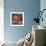 Still Life with Poppy-Malva-Framed Giclee Print displayed on a wall