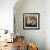 Still Life with Protea-Elizabeth Horning-Framed Giclee Print displayed on a wall