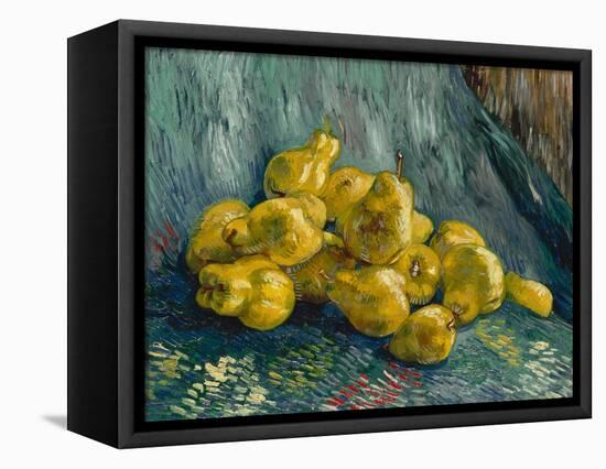 Still Life with Quinces, 1887-1888-Vincent van Gogh-Framed Premier Image Canvas