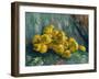 Still Life with Quinces, 1887-1888-Vincent van Gogh-Framed Giclee Print