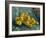 Still Life with Quinces, 1887-1888-Vincent van Gogh-Framed Giclee Print