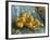 Still-Life With Quinces-Vincent van Gogh-Framed Giclee Print