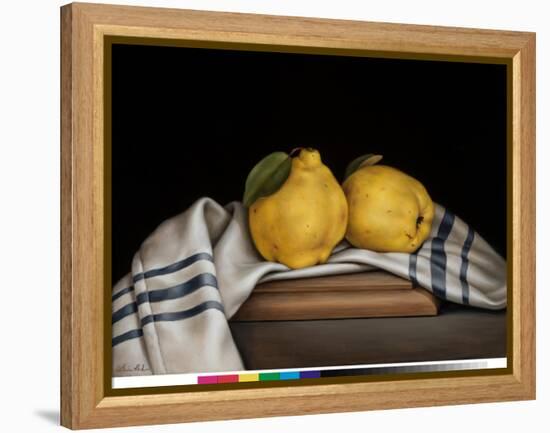 Still Life with Quinces-Catherine Abel-Framed Premier Image Canvas