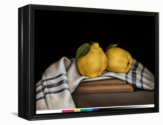 Still Life with Quinces-Catherine Abel-Framed Premier Image Canvas