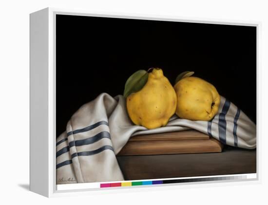 Still Life with Quinces-Catherine Abel-Framed Premier Image Canvas