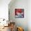 Still Life with Red Flowers-Patty Baker-Framed Stretched Canvas displayed on a wall
