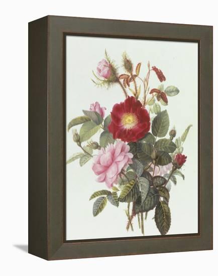 Still Life with Roses-Georgius Jacobus J. van Os-Framed Premier Image Canvas