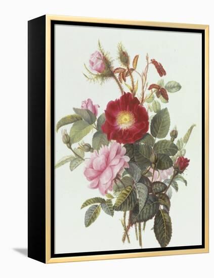 Still Life with Roses-Georgius Jacobus J. van Os-Framed Premier Image Canvas