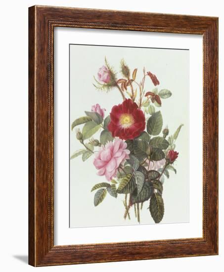 Still Life with Roses-Georgius Jacobus J. van Os-Framed Giclee Print