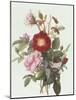 Still Life with Roses-Georgius Jacobus J. van Os-Mounted Giclee Print