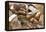 Still Life with Several Types of Bread and Rolls-Eising Studio - Food Photo and Video-Framed Premier Image Canvas