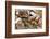 Still Life with Several Types of Bread and Rolls-Eising Studio - Food Photo and Video-Framed Photographic Print