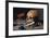 Still Life with Skull and Quill-Pieter Claesz-Framed Giclee Print