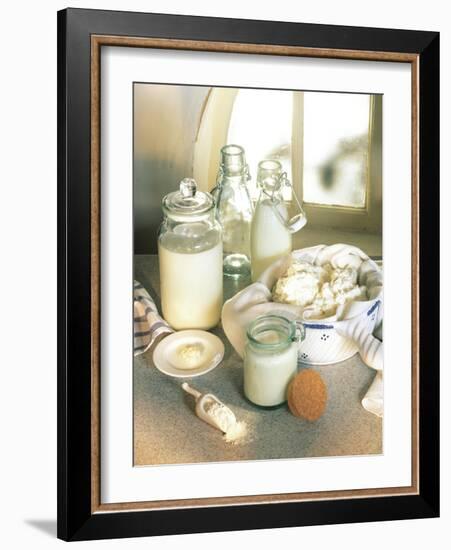 Still Life with Sour Milk Products (Yoghurt, Cream Cheese)-Karl Newedel-Framed Photographic Print