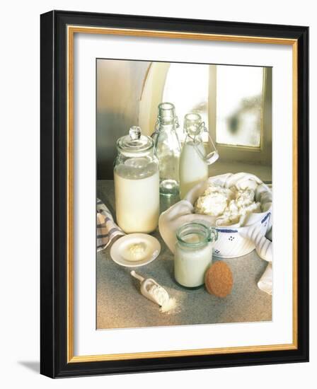 Still Life with Sour Milk Products (Yoghurt, Cream Cheese)-Karl Newedel-Framed Photographic Print