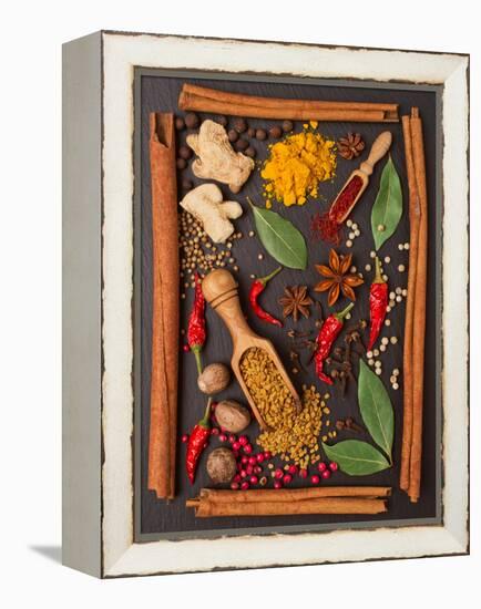 Still Life with Spices and Herbs in the Frame-Andrii Gorulko-Framed Premier Image Canvas