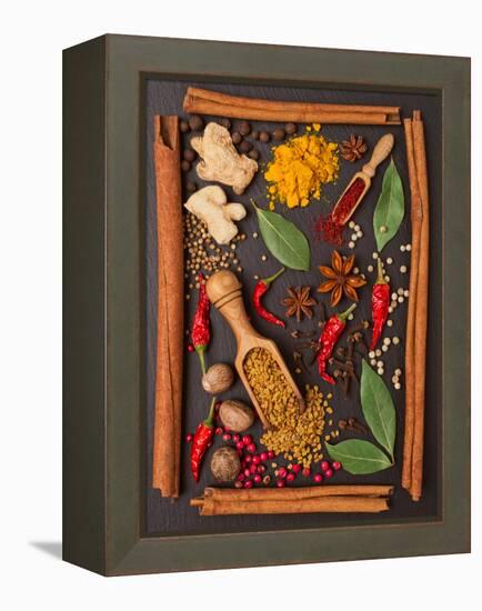 Still Life with Spices and Herbs in the Frame-Andrii Gorulko-Framed Premier Image Canvas