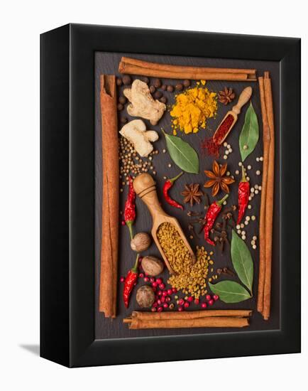 Still Life with Spices and Herbs in the Frame-Andrii Gorulko-Framed Premier Image Canvas