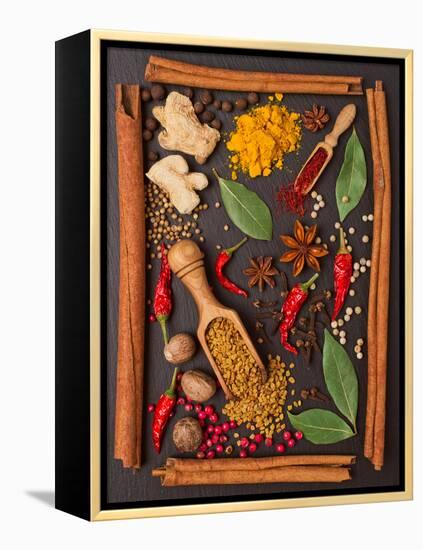 Still Life with Spices and Herbs in the Frame-Andrii Gorulko-Framed Premier Image Canvas