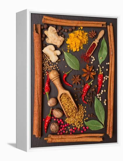 Still Life with Spices and Herbs in the Frame-Andrii Gorulko-Framed Premier Image Canvas