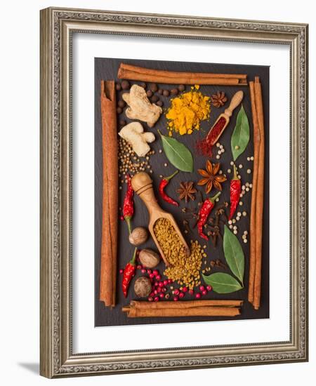 Still Life with Spices and Herbs in the Frame-Andrii Gorulko-Framed Photographic Print