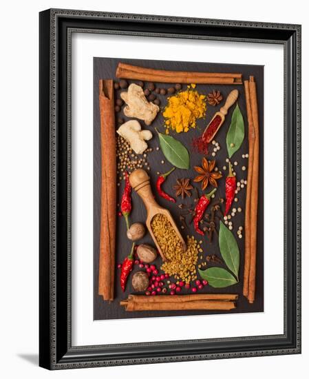 Still Life with Spices and Herbs in the Frame-Andrii Gorulko-Framed Photographic Print