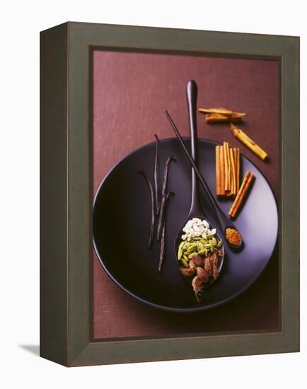 Still Life with Spices on a Black Plate-Armin Zogbaum-Framed Premier Image Canvas