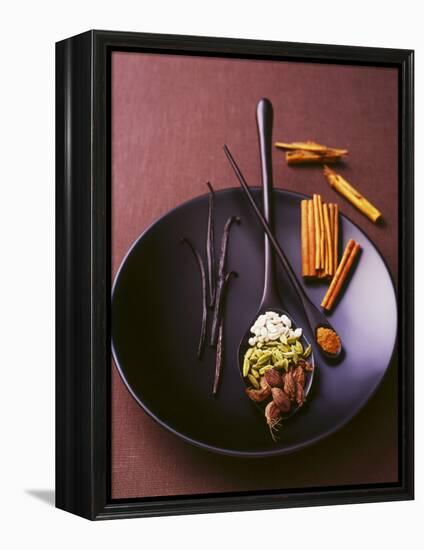 Still Life with Spices on a Black Plate-Armin Zogbaum-Framed Premier Image Canvas