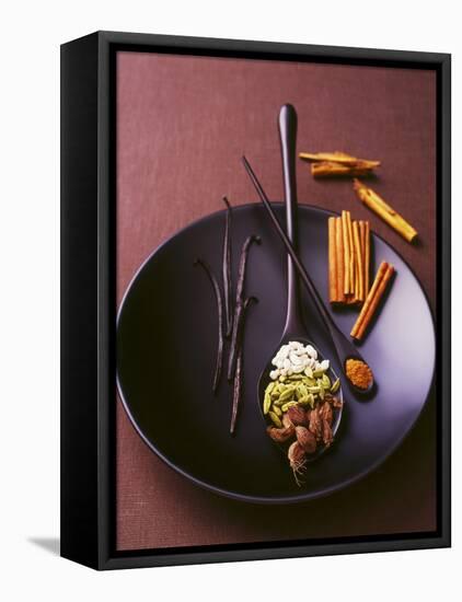 Still Life with Spices on a Black Plate-Armin Zogbaum-Framed Premier Image Canvas