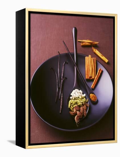 Still Life with Spices on a Black Plate-Armin Zogbaum-Framed Premier Image Canvas