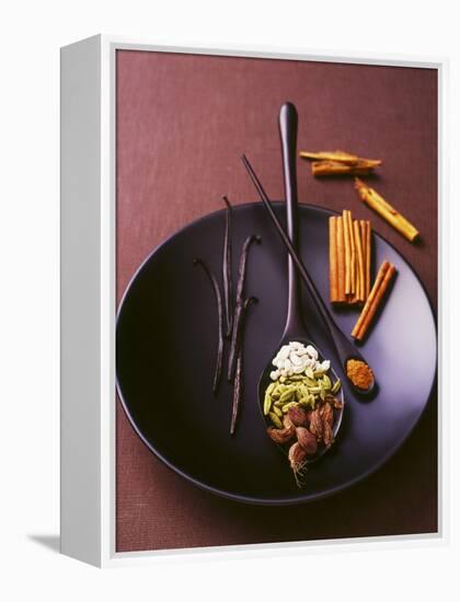 Still Life with Spices on a Black Plate-Armin Zogbaum-Framed Premier Image Canvas