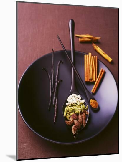 Still Life with Spices on a Black Plate-Armin Zogbaum-Mounted Photographic Print