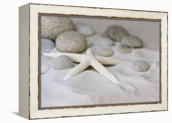 Still Life with Starfish-Andrea Haase-Framed Premier Image Canvas